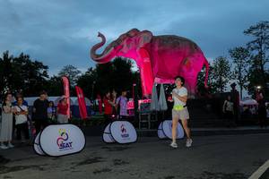 BIB: 
                            <button type="button" onclick="openModal(26529740)" class="btn btn-primary btn-sm float-right btn-popup" data-toggle="modal" data-target=".modal-high-quality">
                        <i class="fas fa-shopping-cart"></i> Add to Cart
                    </button>
                                            <button type="button" onclick="isThisMe(26529740, true)" class="btn btn-success btn-sm float-right btn-popup btn-isme hidden" data-toggle="tooltip" data-placement="bottom" title="นี่คือรูปของคุณใช่ไหม คลิกที่นี่เพื่อเอาเข้าอัลบั้ม">
                        <i class="fas fa-plus"></i> Add to album
                    </button>
                    <button type="button" onclick="isThisMe(26529740, false)" class="btn btn-warning btn-sm float-right btn-popup btn-isnotme hidden">
                        <i class="fas fa-ban"></i> Remove from album
                    </button>